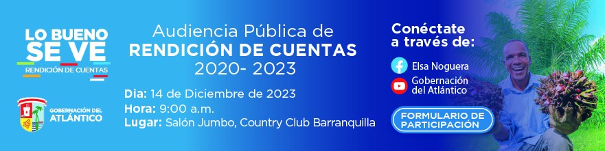 Rendicion-2023 02-Formulario