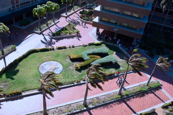Garantizaremos procesos académicos de UA durante la pandemia: Elsa Noguera