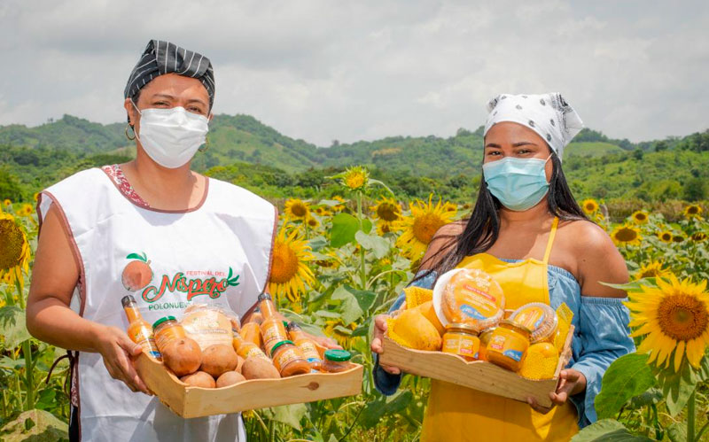 Con girasoles a bordo, el níspero y el mango se estrenan en la ruta gastronómica de Sazón Atlántico